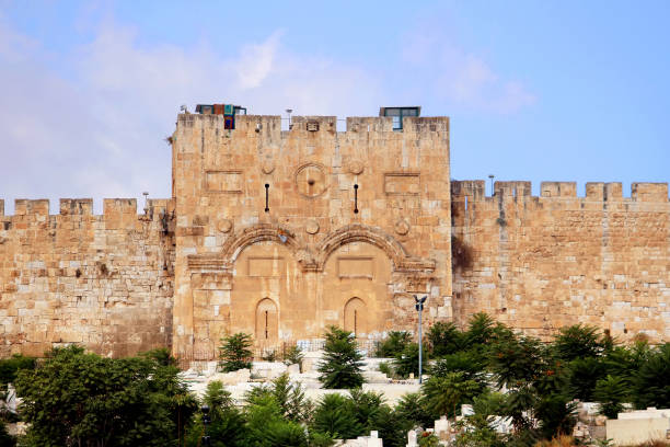 złota brama miłosierdzia po wschodniej stronie góry świątynnej starego miasta w jerozolimie, izrael - jerusalem israel tree ancient zdjęcia i obrazy z banku zdjęć