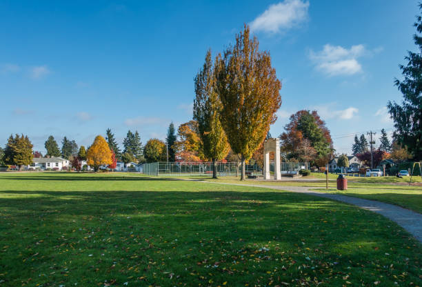 City Park In Autumn 2