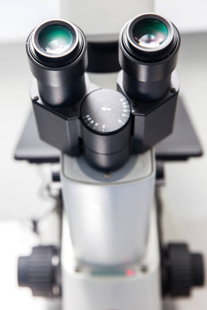 istock Close up of stereo microscope eyepieces 870511040