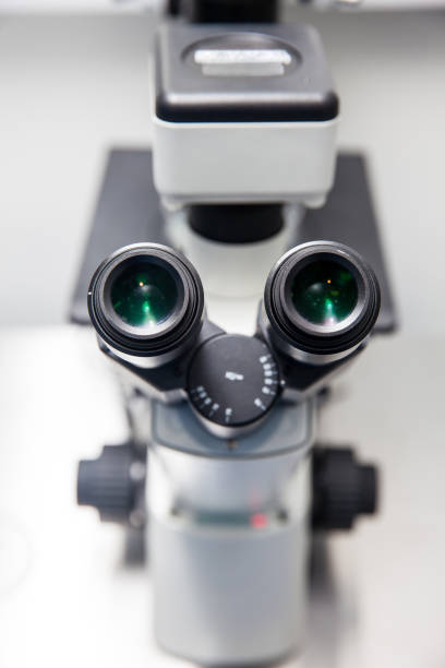 istock Close up of stereo microscope eyepieces 870511128