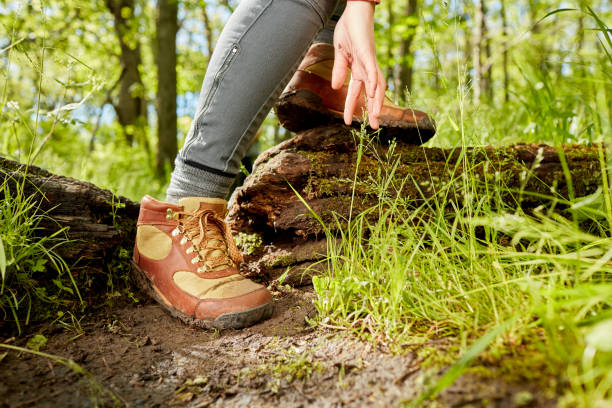 Leather hiking boots and hand of a female hiker stock photo