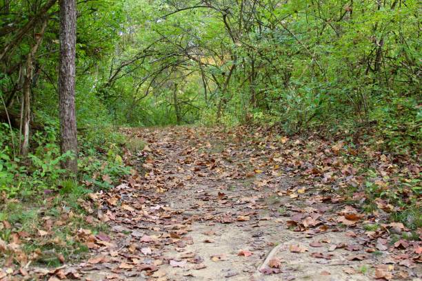istock View of Autumn Trail 870517746