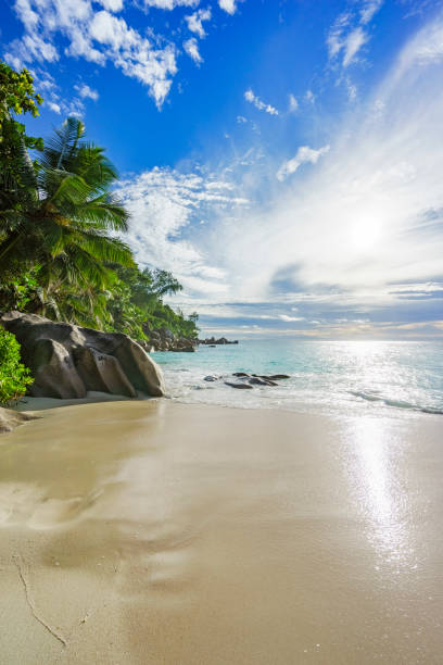 istock sunny day on paradise beach anse georgette,praslin seychelles 8 870518236