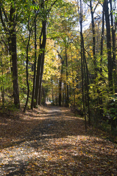istock Walking path near Cayuga Lake 870523916