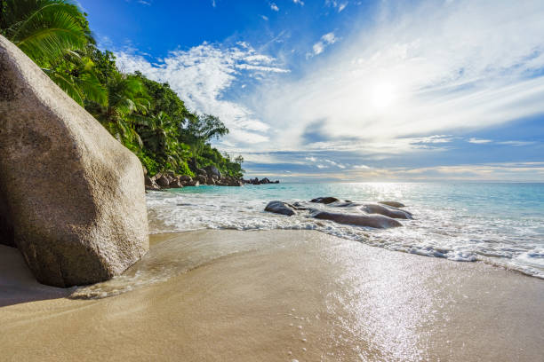 istock sunny day on paradise beach anse georgette,praslin seychelles 15 870531654