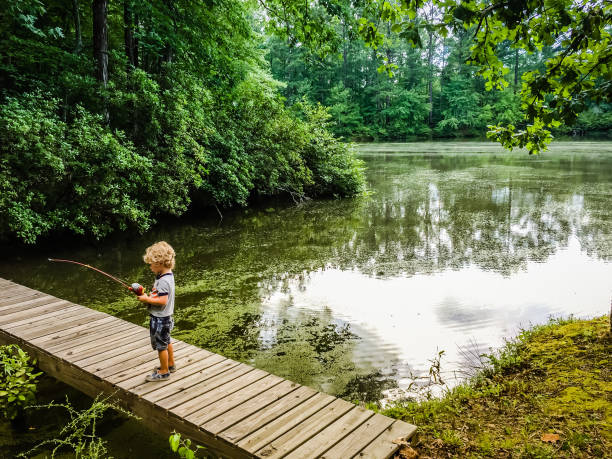 Gone Fishing A young boy fishes off a dock at a lake in rural Georgia. georgia country photos stock pictures, royalty-free photos & images