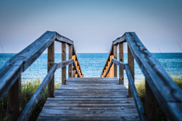 paseo a lo largo de la playa - steiner fotografías e imágenes de stock