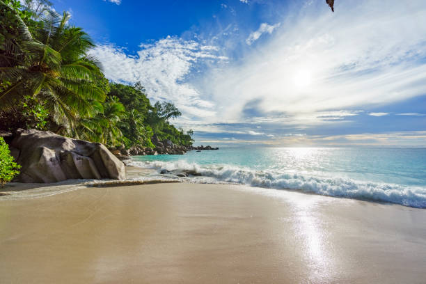 istock sunny day on paradise beach anse georgette,praslin seychelles 7 870538398