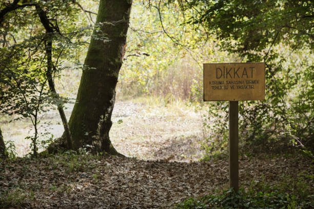 istock in front of an autumn  forest with beware signboard 870538678