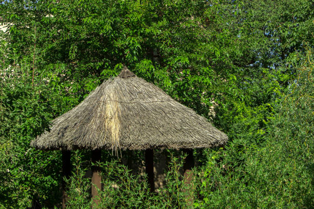 A house with a thatched roof against a background of green foliage A house with a thatched roof against a background of green foliage Straw Roof thatched roof hut straw grass hut stock pictures, royalty-free photos & images