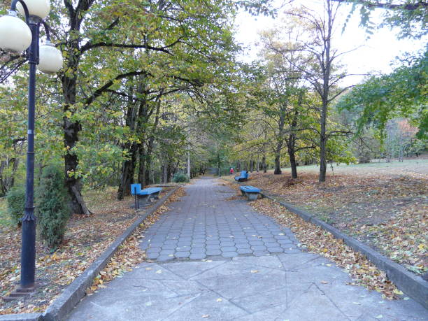 istock The resort park in the Caucasus 870541372