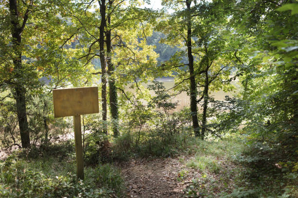 istock Empty signboard in front of an autumn  forest 870542386