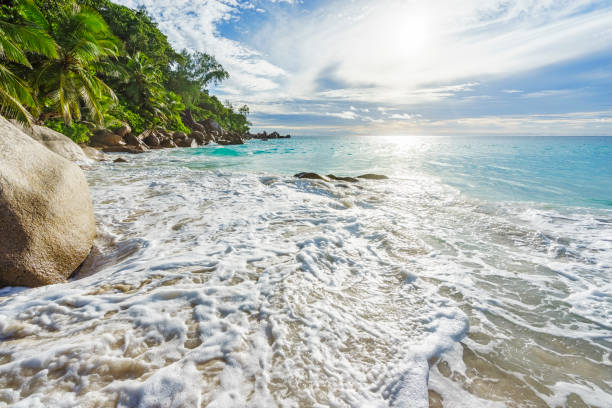 istock sunny day on paradise beach anse georgette,praslin seychelles 28 870542462