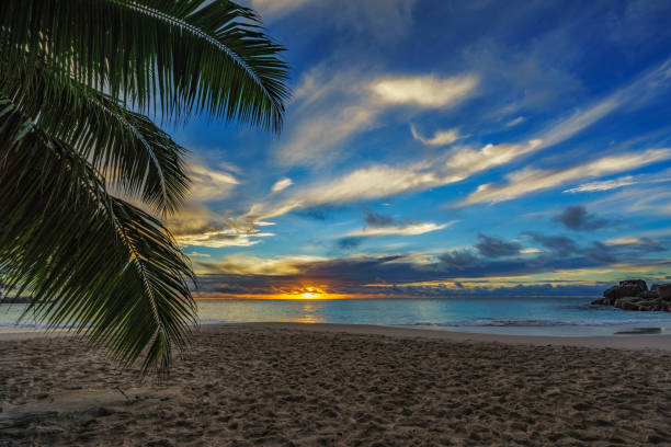 istock looking through palm leaf at sunset at anse georgette,praslin,seychelles 2 870542738