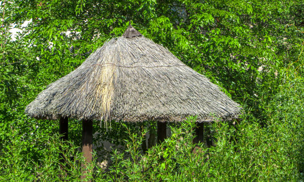 A house with a thatched roof against a background of green foliage A house with a thatched roof against a background of green foliage Straw Roof thatched roof hut straw grass hut stock pictures, royalty-free photos & images