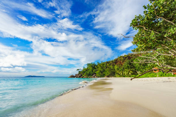 istock sunny day on paradise beach anse georgette,praslin seychelles 26 870545434
