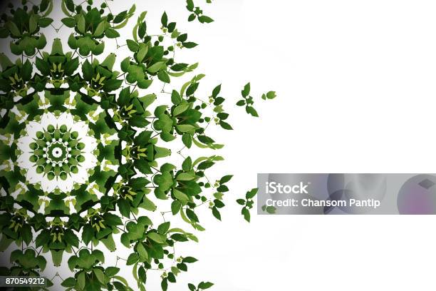 Abstract Green Background Wild Climbing Vine Liana Plant With Kaleidoscope Effect On White Background Stock Photo - Download Image Now