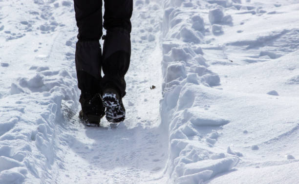 istock Views from Vitosha mountain, Bulgaria 870554902
