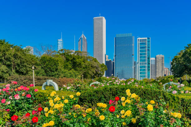 istock Oramental garden in Grant Park with skyline, Chicago, Ill 870559902