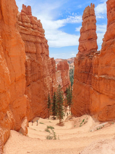 istock Serpentine Trail between Hoodoos in Bryce 870562572