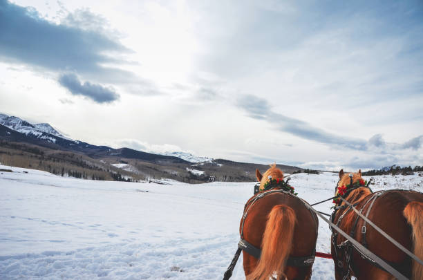 istock Traditional horse carriage sleigh ride 870571232