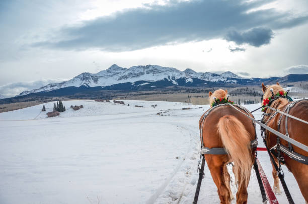 Traditional horse carriage sleigh ride