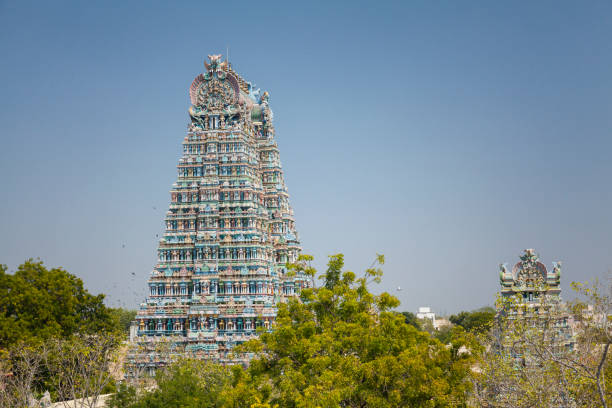 meenakshi hindu temple in madurai - madurai imagens e fotografias de stock