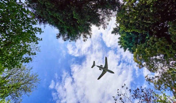 istock Aircraft flight in blue sky of Sochi 870575102