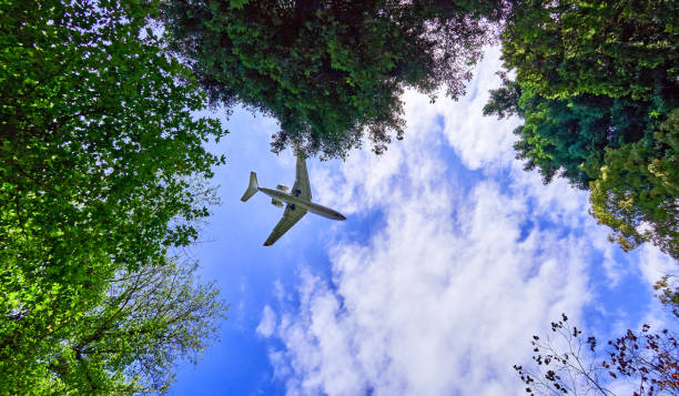 istock Aircraft flight in blue sky of Sochi 870575228