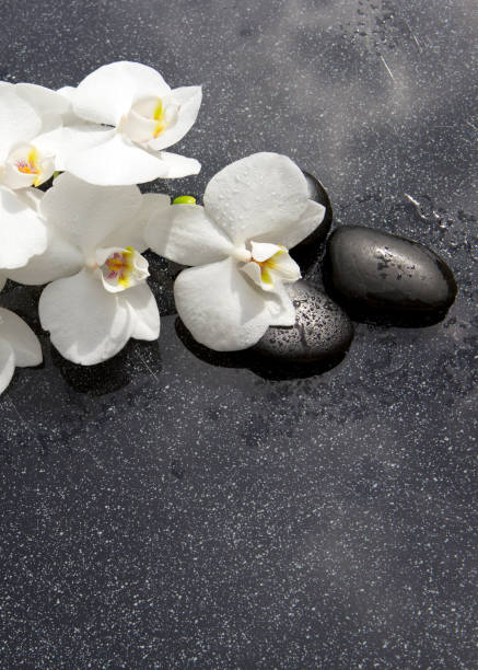 натхоя с спа-камнями и белой орхидеей - massieren стоковые фото и изображения