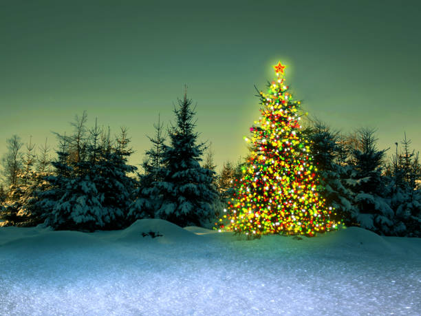 istock Christmas tree in the winter forest 870575960