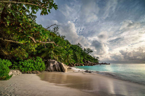 istock paradise beach at anse georgette, praslin, seychelles 23 870582430