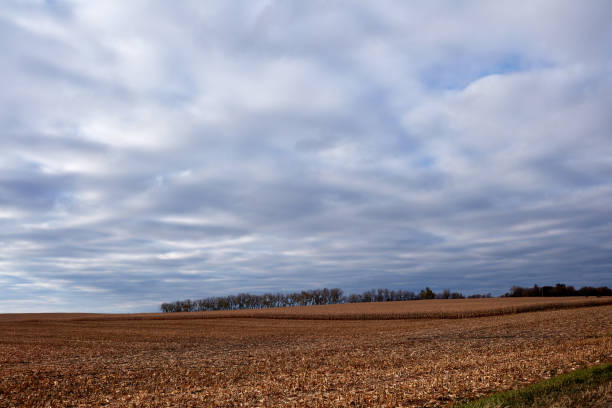 istock Empty agricultural landscape during harvest season 870593074