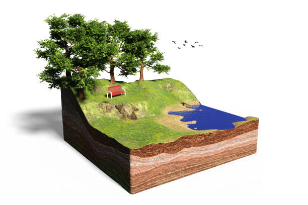 istock cross section of ground with lake, forest, beach and bench, idyllic park with trees cube concept 870593236
