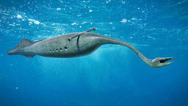 Tullimonstrum, Tully Monster swimming in the ocean, the State Fossil of Illinois stock photo