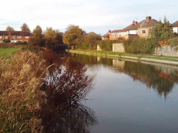 istock Even a dumpy council estate can have its beauty somewhere somehow. 870599442