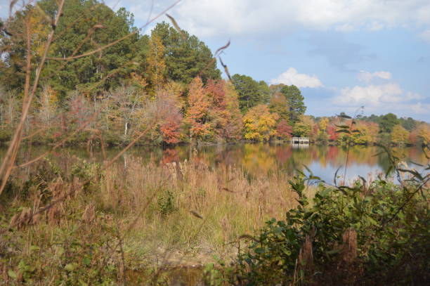 istock Little Mulberry Park, GA in Autumn 870602394
