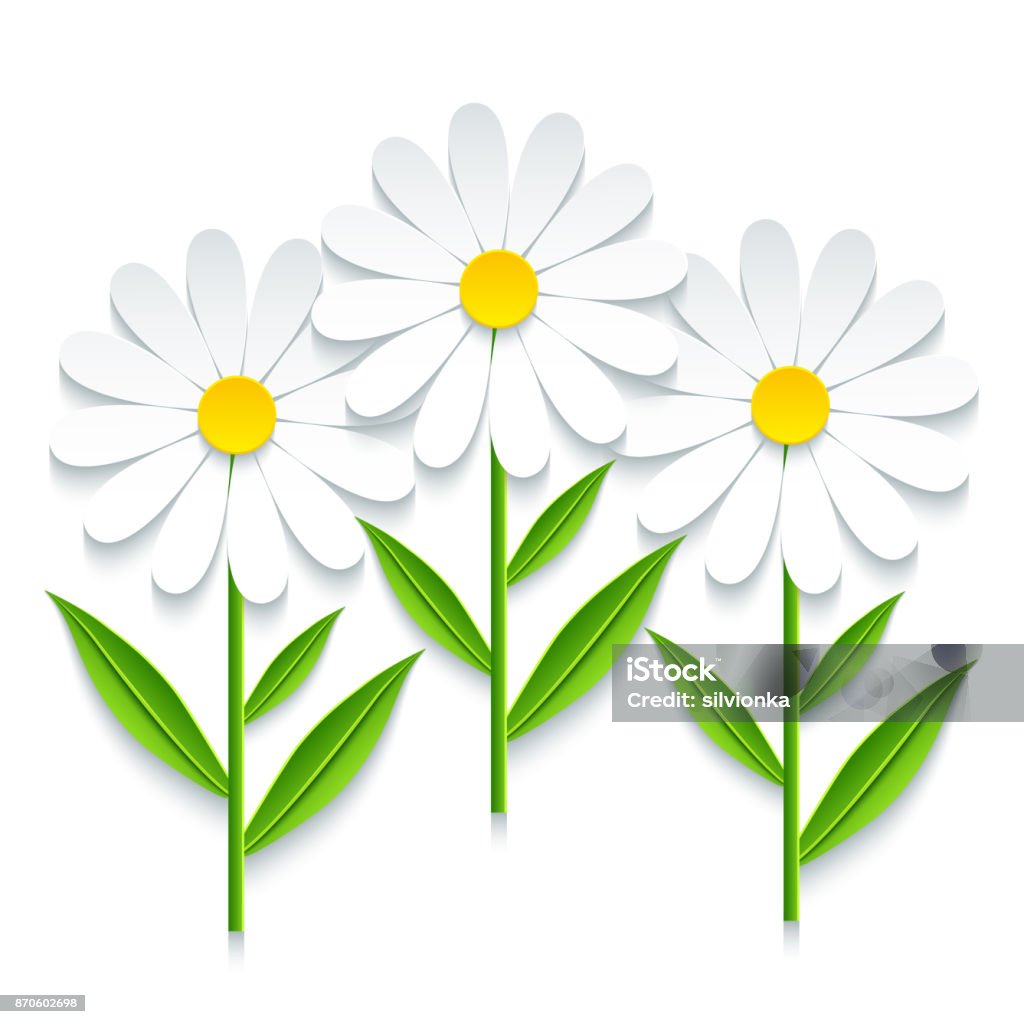 Three 3d chamomile isolated on white background Trendy nature background with three 3d chamomile cutting paper. Stylized summer flowers isolated over white. Stylish modern floral wallpaper. Floral design elements. Vector illustration Daisy stock vector