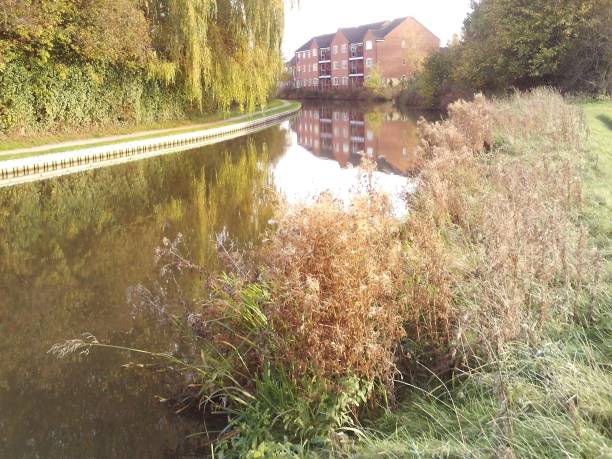 istock Even a dumpy council estate can have its beauty somewhere somehow. 870602870