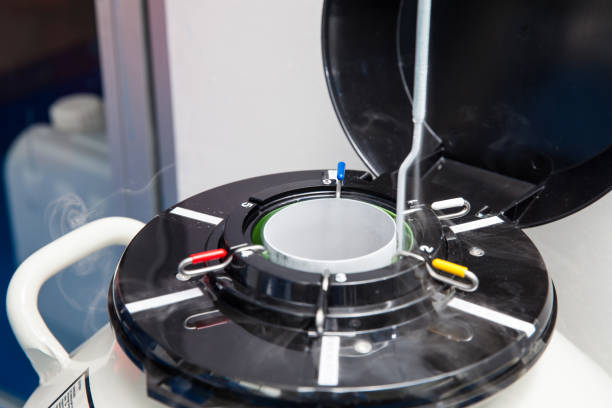 istock Liquid nitrogen cryogenic tank at laboratory 870605386