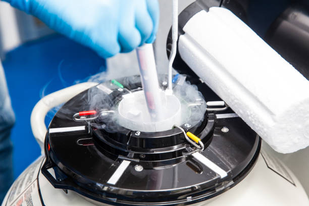 réservoir cryogénique azote liquide au laboratoire - cryobiology photos et images de collection