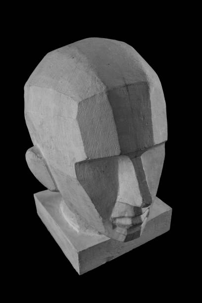 estatua de un cráneo humano y cabeza de yeso con un gráfico de contorno angular - statue david sculpture roman fotografías e imágenes de stock