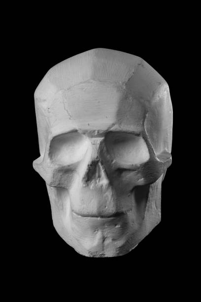 istock plaster statue of a human skull and head with an angular outline graphic. 870608966