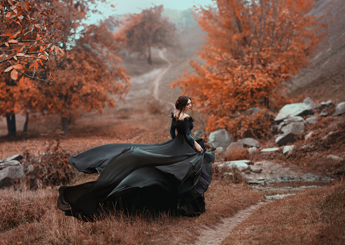 Incredible stunning girl in a black dress. The background is fantastic autumn. Artistic photography.
