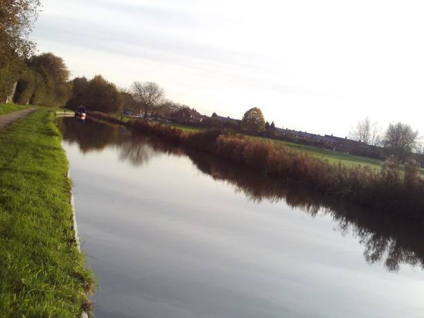 istock Even a dumpy council estate can have its beauty somewhere somehow. 870613256