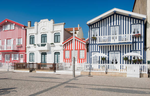 istock Typical houses of Aveiro 870613378