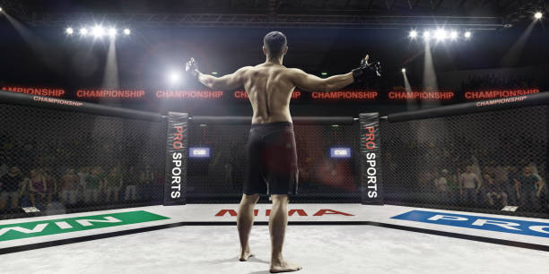 istock mma fighter in arena greeting the spectators, rear view 870616116