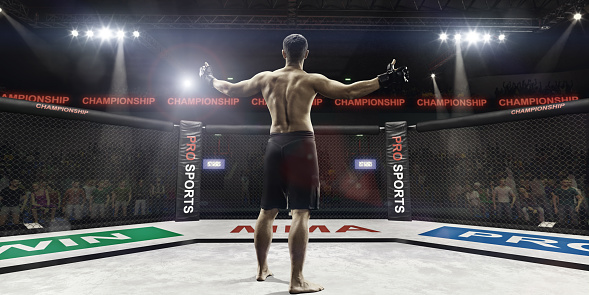 Mma fighter in cage arena with hands up, rear view