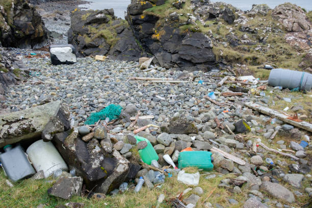 istock Plastic waste on beach, Scottish Highlands, UK 870622048