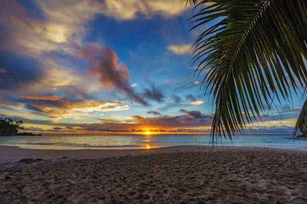 istock looking through palm leaf at sunset at anse georgette,praslin,seychelles 18 870622462